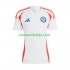 Camisola Chile Copa America 2024 Homem Equipamento Segundo Manga Curta